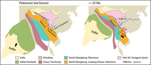 蛇为啥会把四肢进化没了？